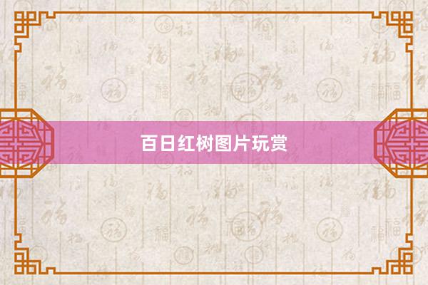百日红树图片玩赏