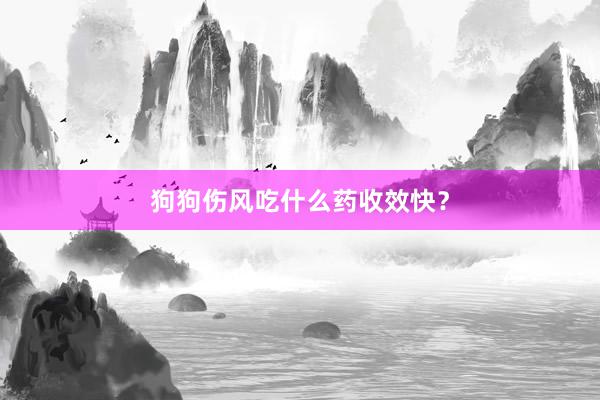 狗狗伤风吃什么药收效快？